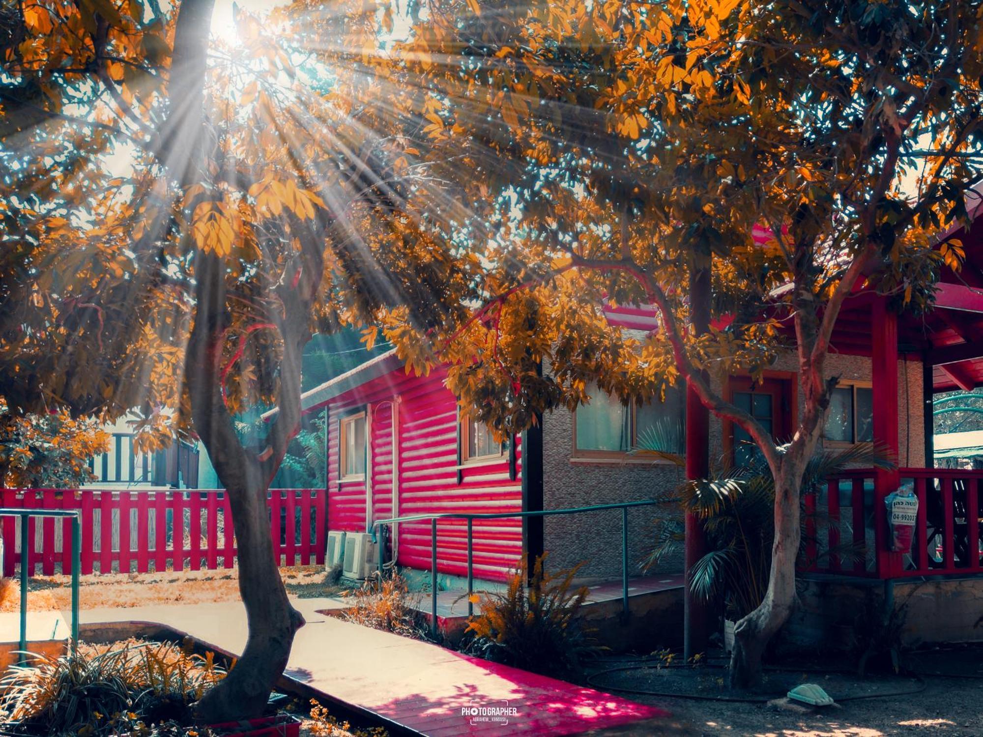 The Wooden Rose Cabins Bezet الغرفة الصورة